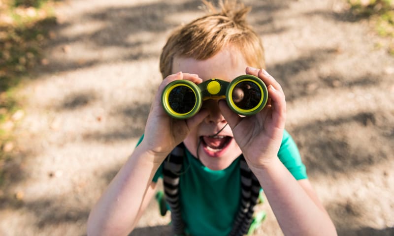 Vogels kijken kinderen