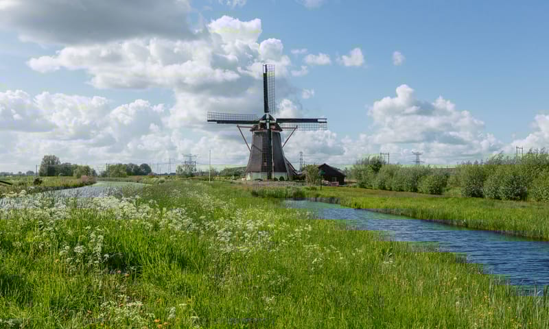 Molen De Onrust bij het Naardermeer