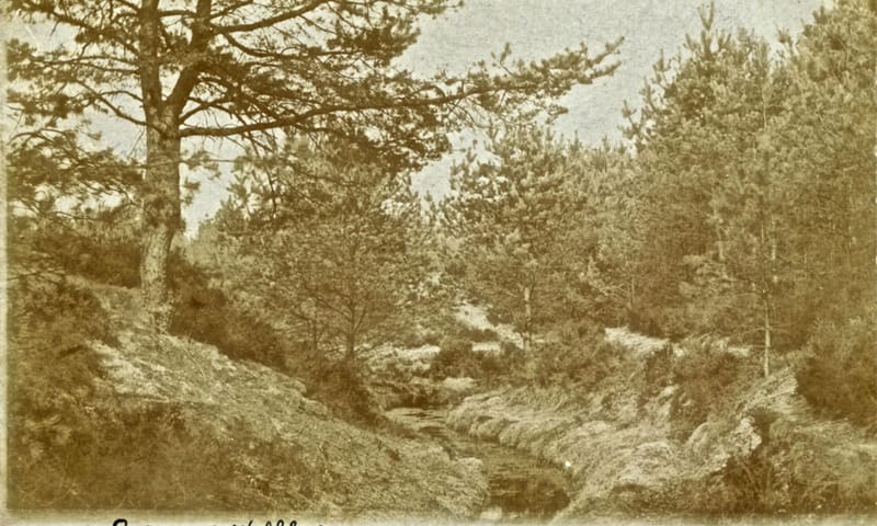 Oorsprong Papiermolenbeek Wolfheze