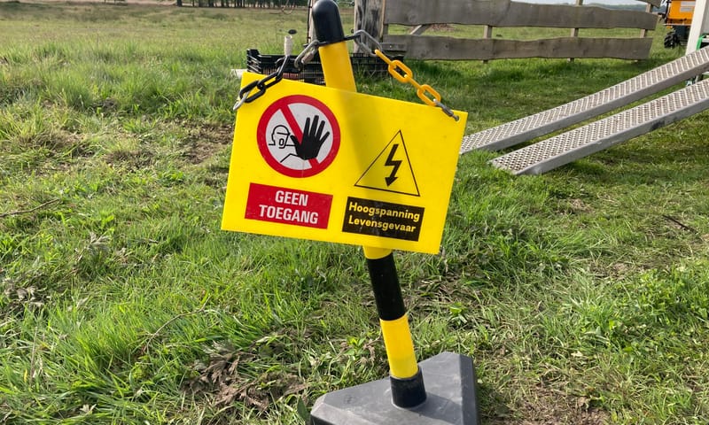 Aziatische Duizendknoop