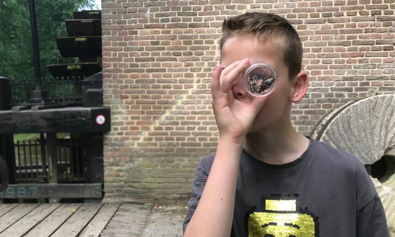 meikever in loeppotje