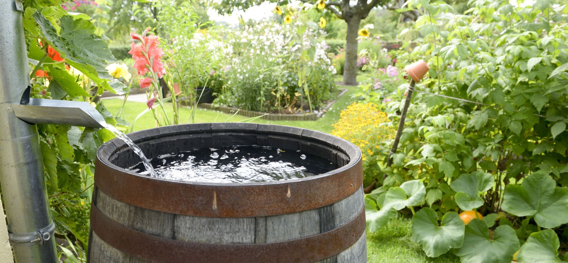 270 haal - nm - klimaatbufferpakket - achterplaat regenton