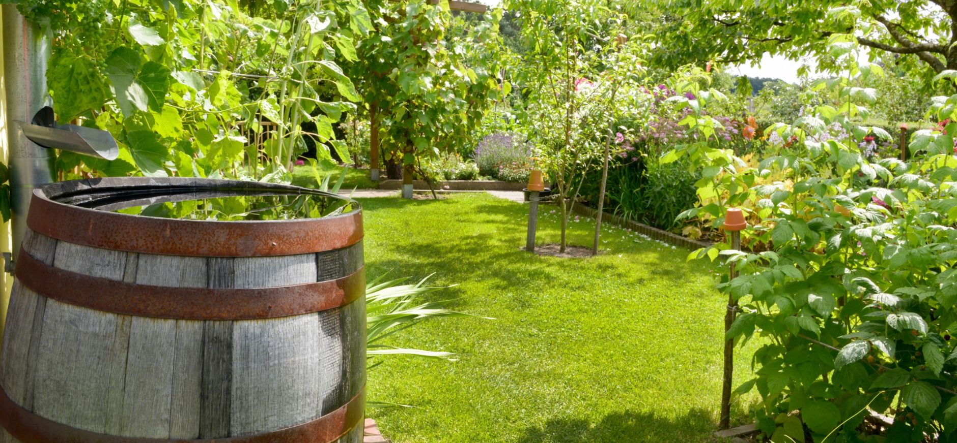 290 download - klimaatbufferpakket - achterplaat