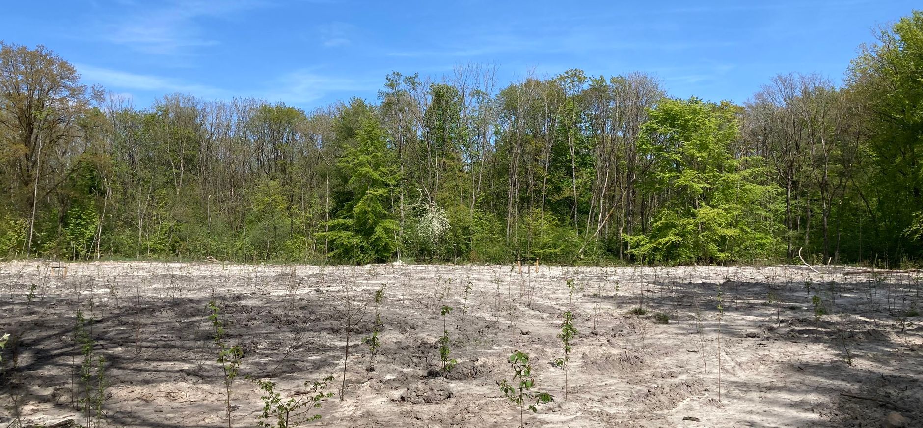 Baggerdepot ingeplant