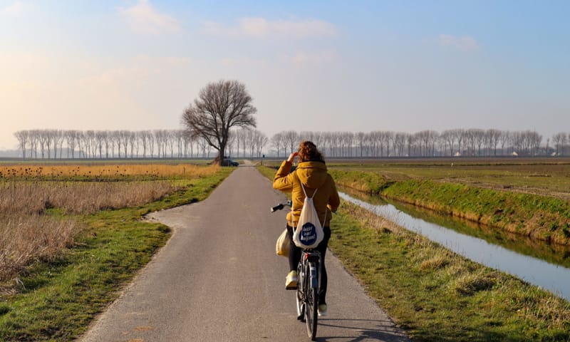 Buijtenland van Rhoon