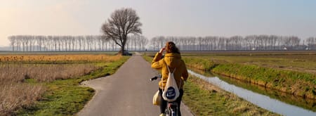 Buijtenland van Rhoon