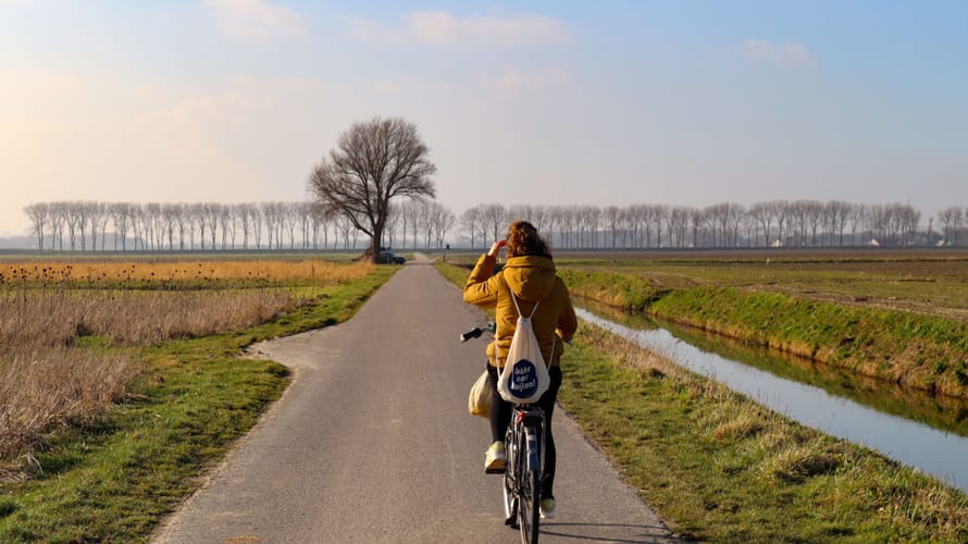 Buijtenland van Rhoon