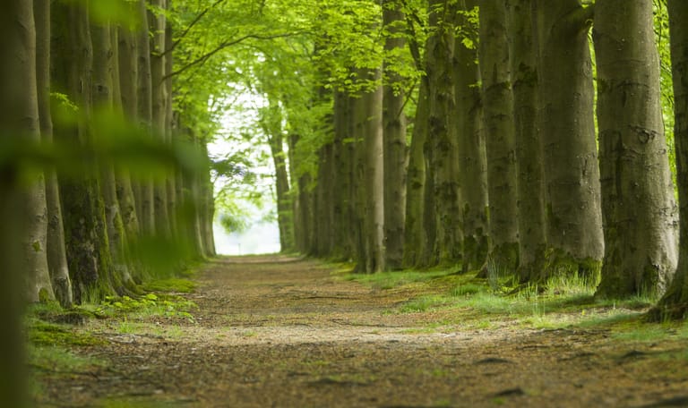 Landgoed Woudhuizen