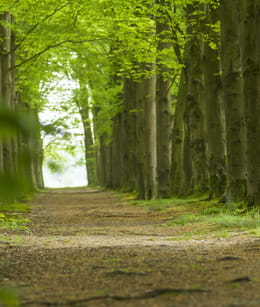 Landgoed Woudhuizen