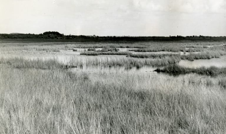 Historische afbeelding van het Smitsveen