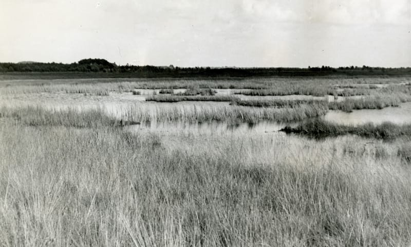 Historische afbeelding van het Smitsveen