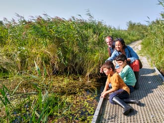 Wandelen Vlonderpad