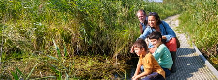 Wandelen Vlonderpad
