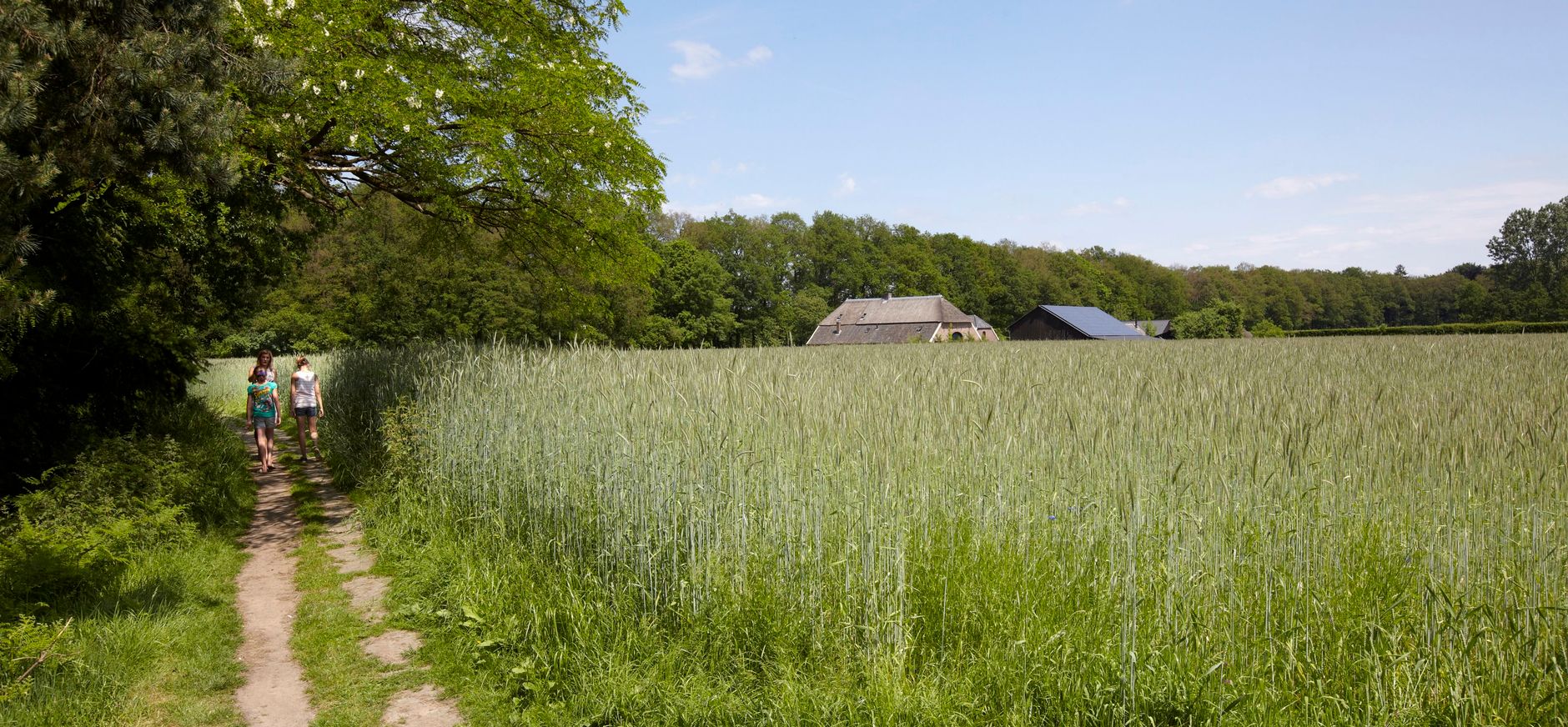 Transitie landbouw