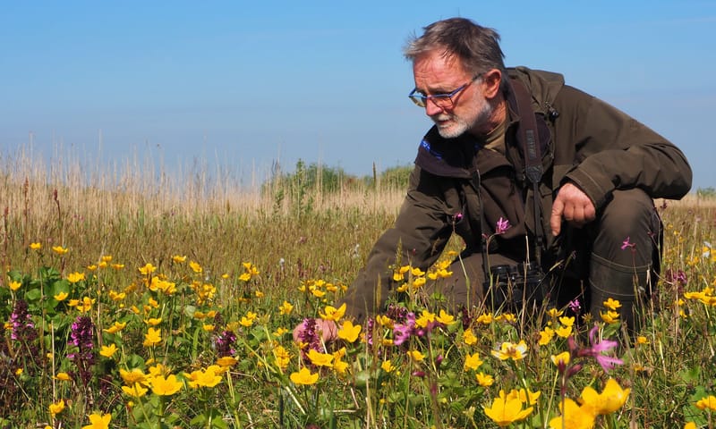 Boswachter Guus in dotterbloemhooiland op de Vlietlanden