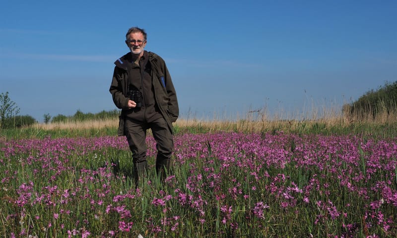 Boswachter Guus in een veld met echte koekoeksbloem op de Vlietlanden