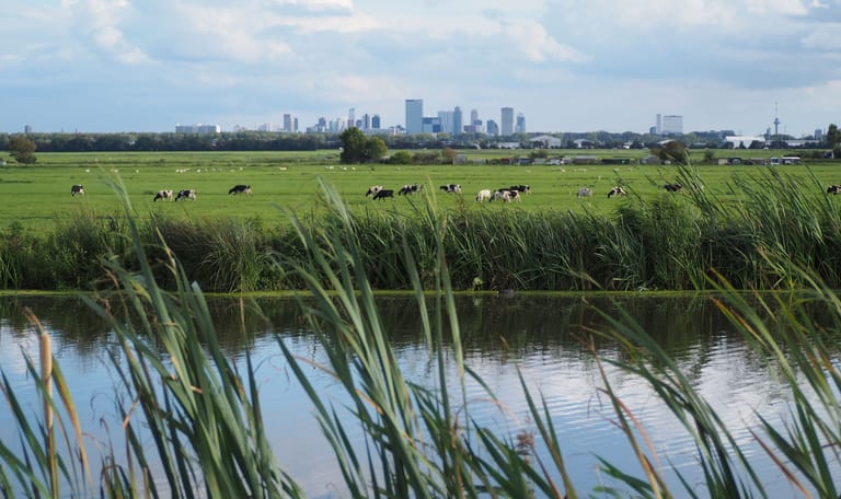 Rotterdams platteland - skyline Rotterdam