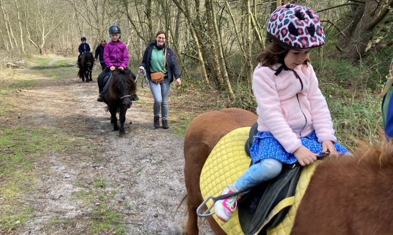 Ponyrijden Schiermonnikoog