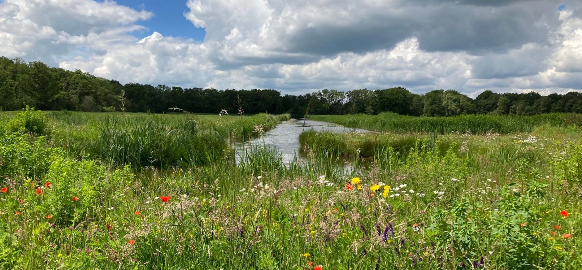 Bloemrijk erf Stadzigt Naardermeer