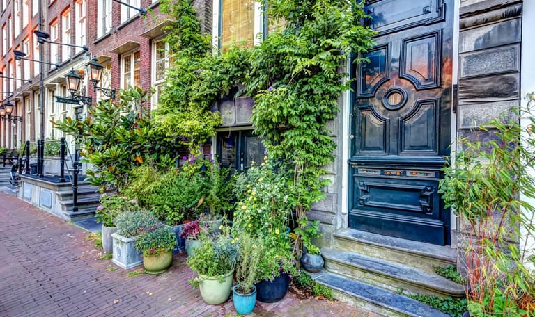 Geveltuin stad