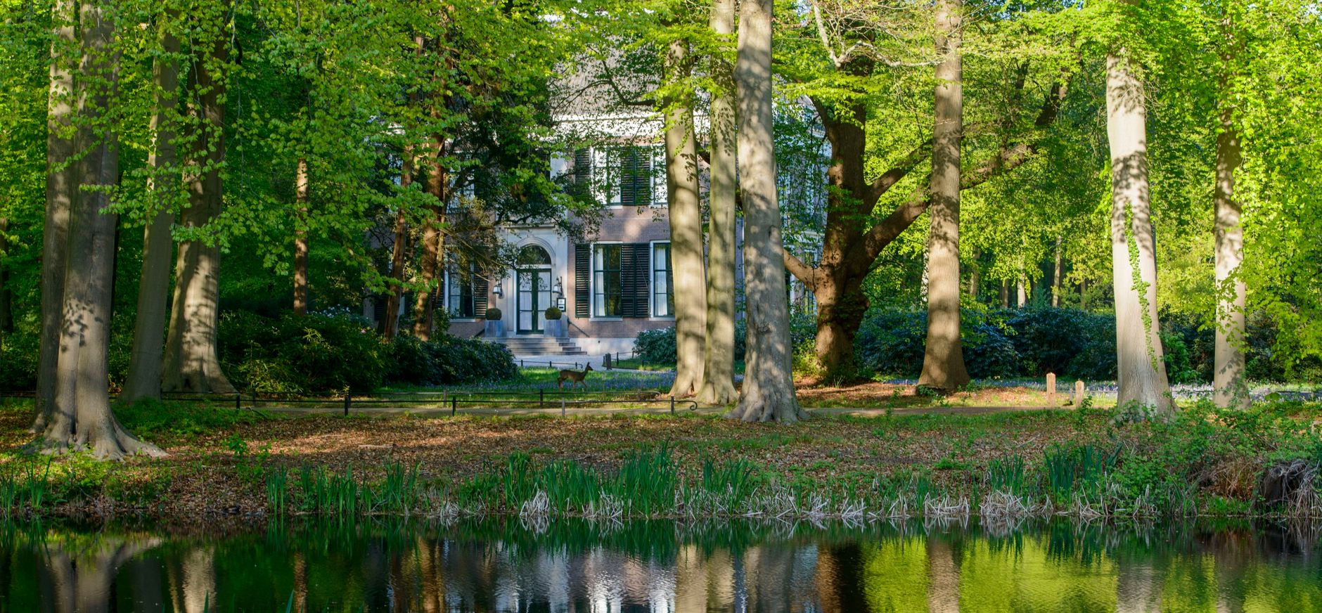 Gooilust lente