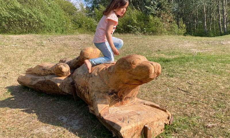 Specht zoekt een huis op Schiermonnikoog