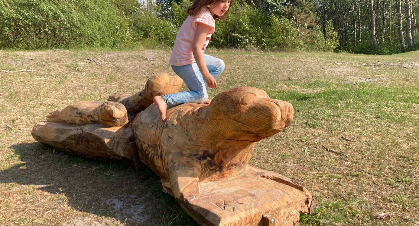 Specht zoekt een huis op Schiermonnikoog
