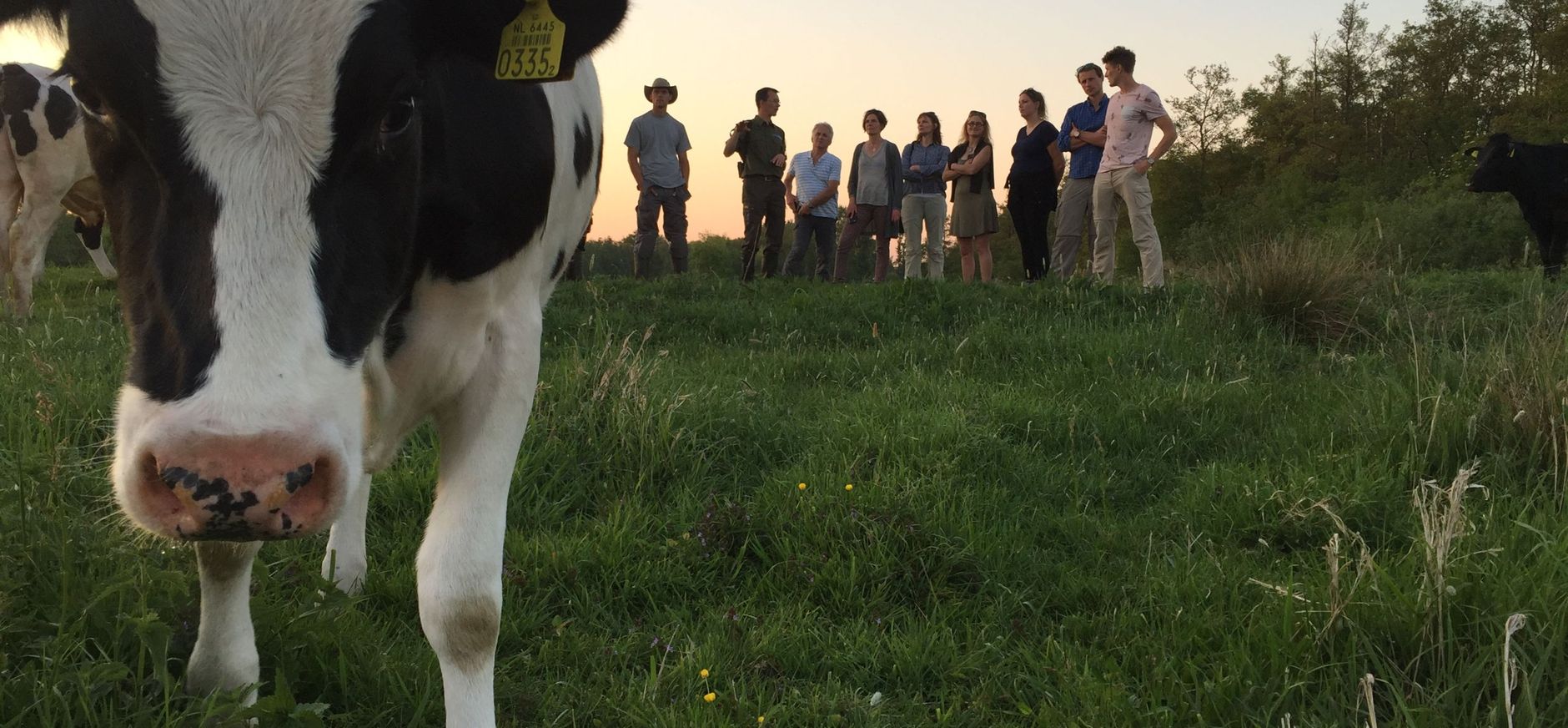Pachter naar parnter Vechtplassen