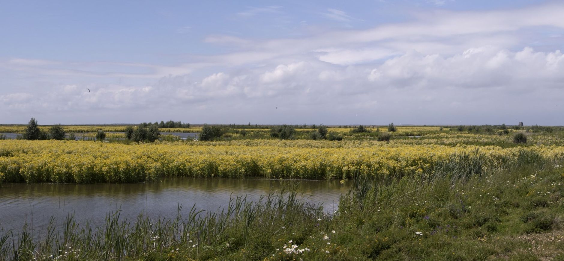 Marker Wadden