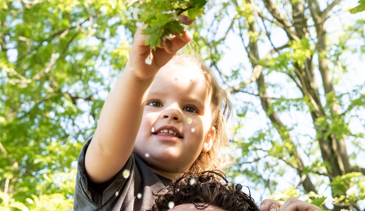 Wandelroutes voor kleine kinderen