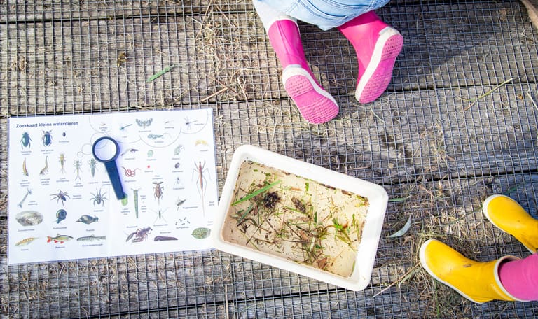 Waterbeestjes zoeken - OERRR