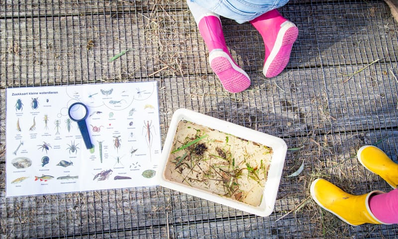 Waterbeestjes zoeken - OERRR