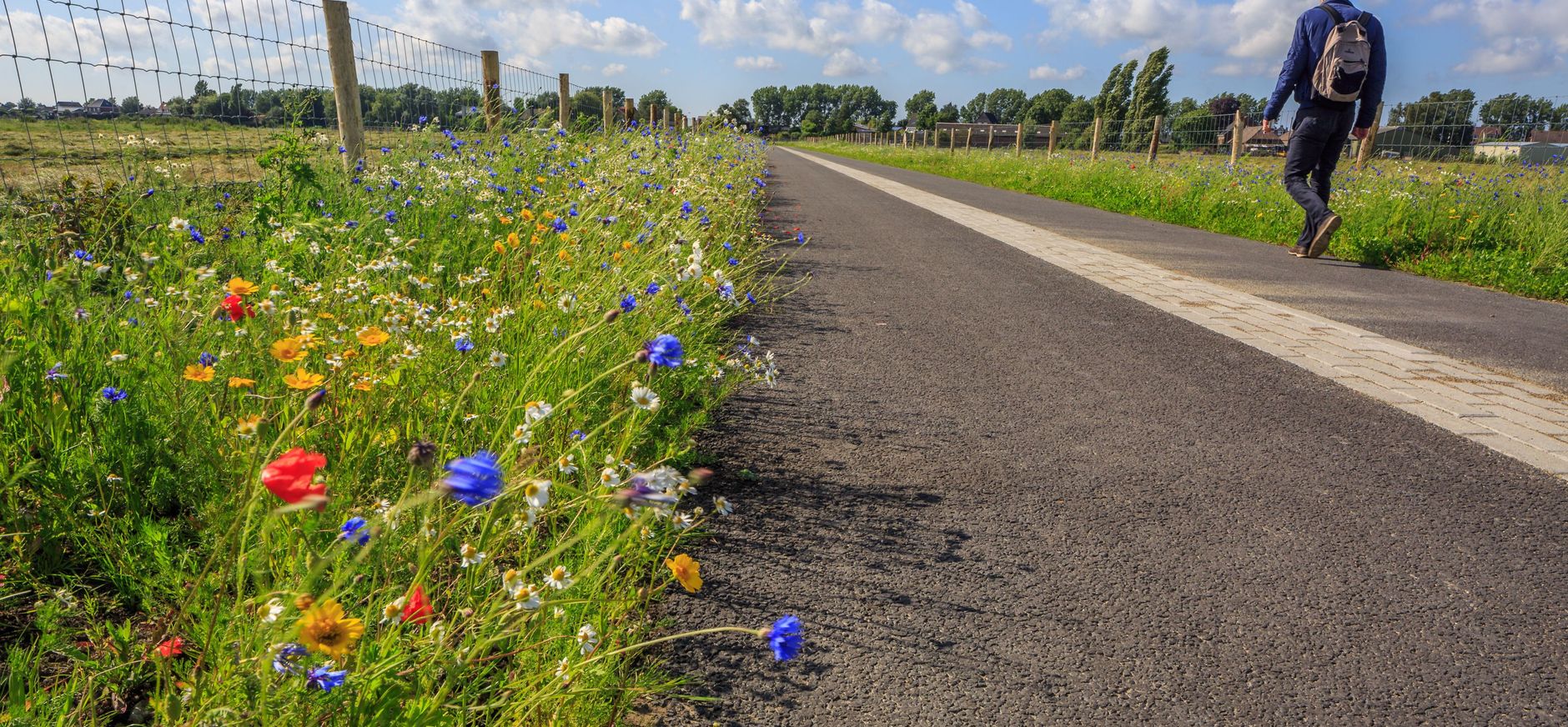 Polderpad Polderpad bij Rotterdam