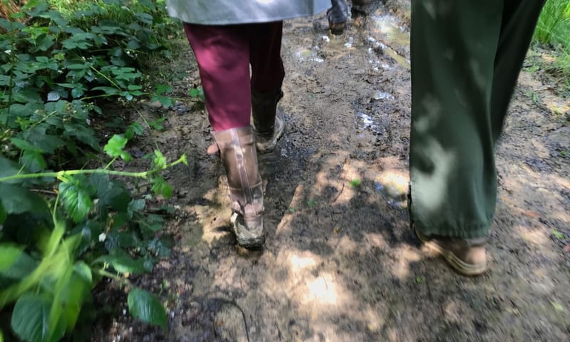 wandelen Hekenbroek