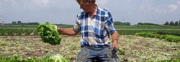 Buijtenroute - LET OP alleen te gebruiken voor Buijtenland van Rhoon