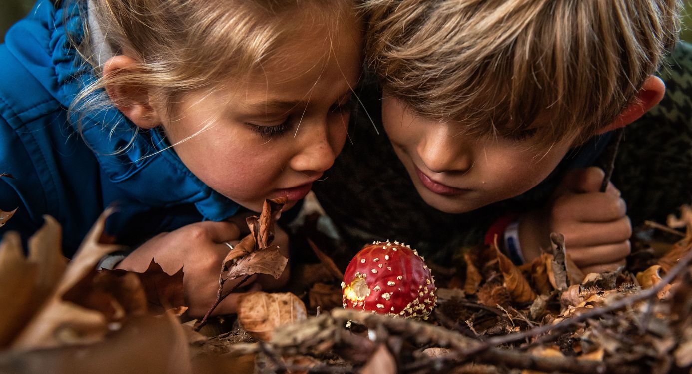 Wilde Buitendag Onlanderij