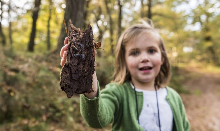 Insecten en andere kriebelbeestjes ontdekken met OERRR