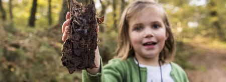 Insecten en andere kriebelbeestjes ontdekken met OERRR