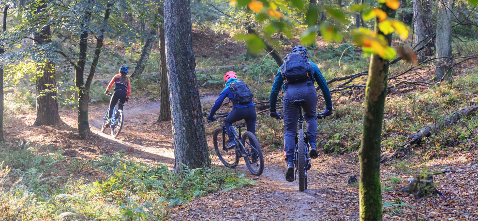Mountainbiken Veluwezoom classificatie