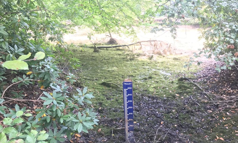 peilschaal vijvers Dorth tonen dramatisch laag peil