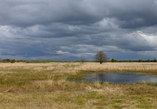 Groenzoomroute - Hoogveen
