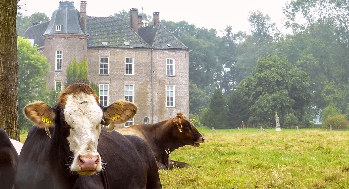 Boerennatuur rondom kasteel Hackfort in Vorden