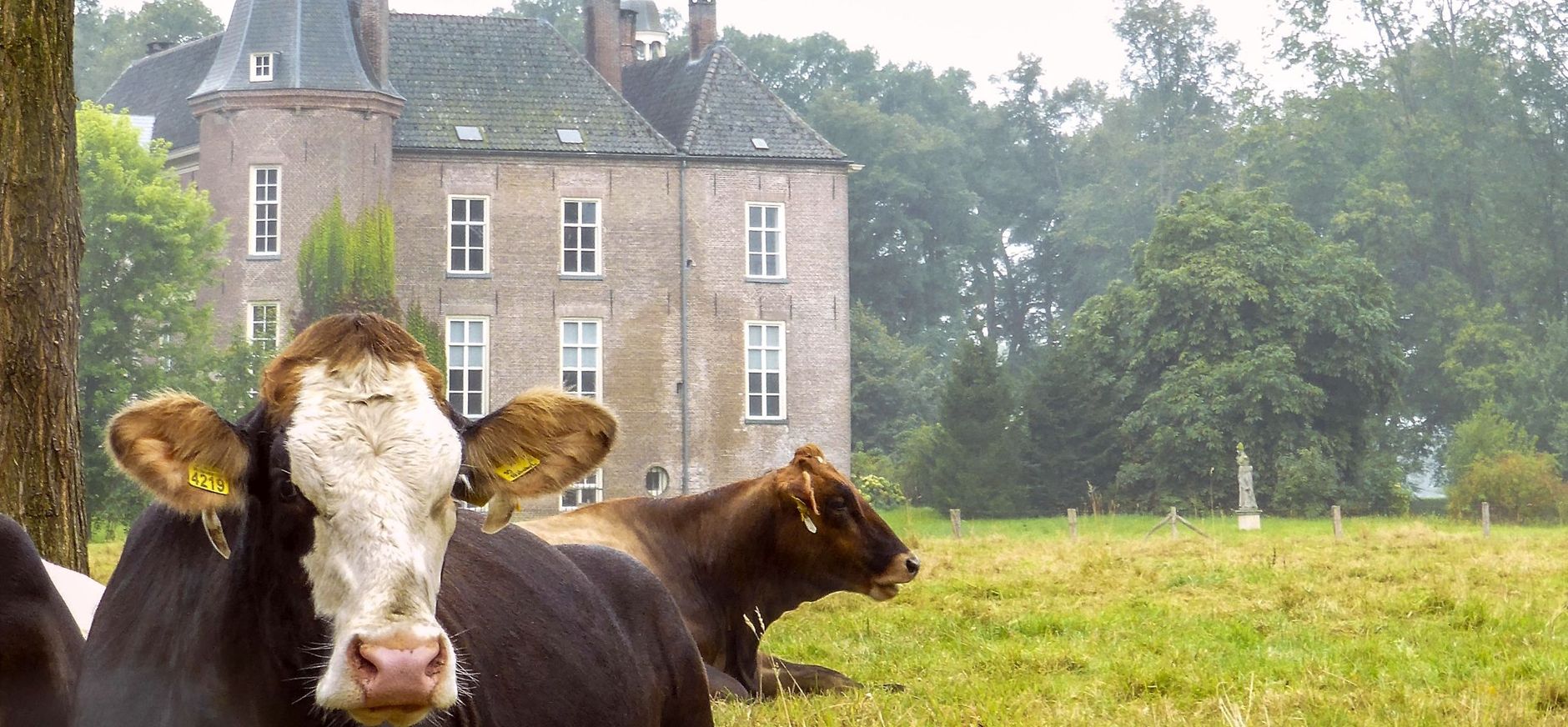 Boerennatuur rondom kasteel Hackfort in Vorden