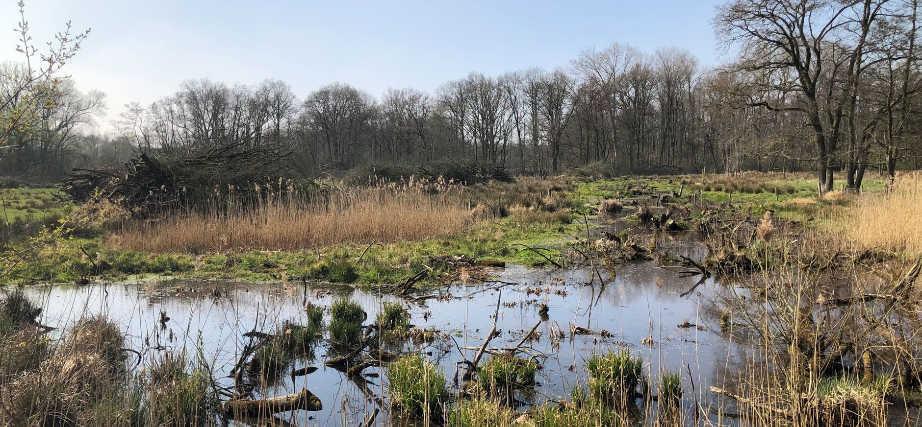Laagbroek
