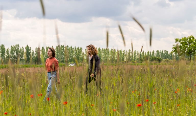 Wandelen in Haarzuilens