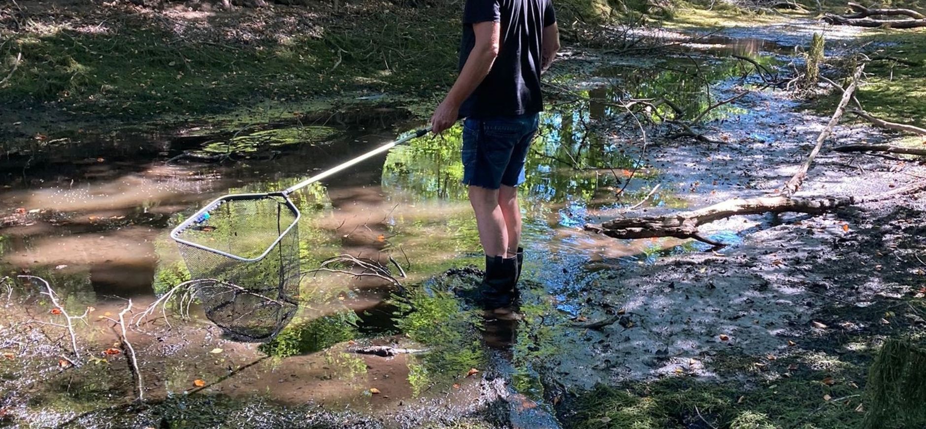 Boswachters verplaatsen vis op Dorth ivm droogte