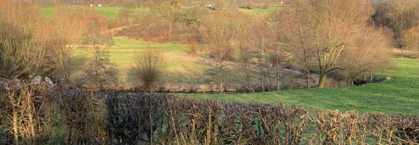 Landschapslijnen