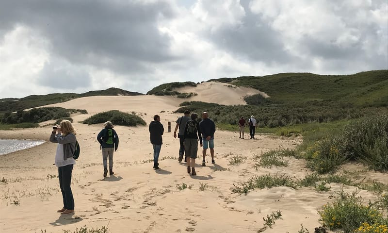 Excursie stuivende duinen Duin en Kruidberg