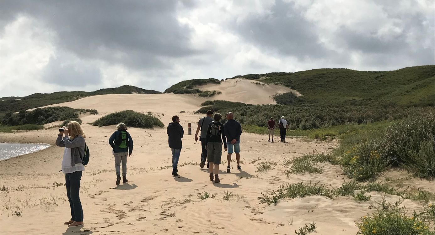 Excursie stuivende duinen Duin en Kruidberg