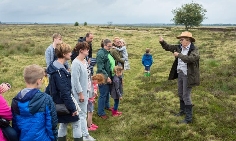 Wandelen, fietsen of met de huifkar het Dwingelderveld ontdekken